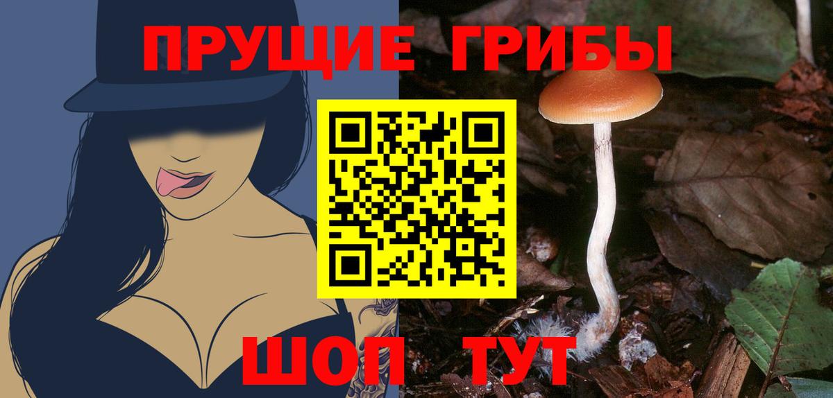 Галлюциногенные грибы Psilocybe  Вход с VPN  Сегежа  Галлюциногенные грибы Magic Shrooms 